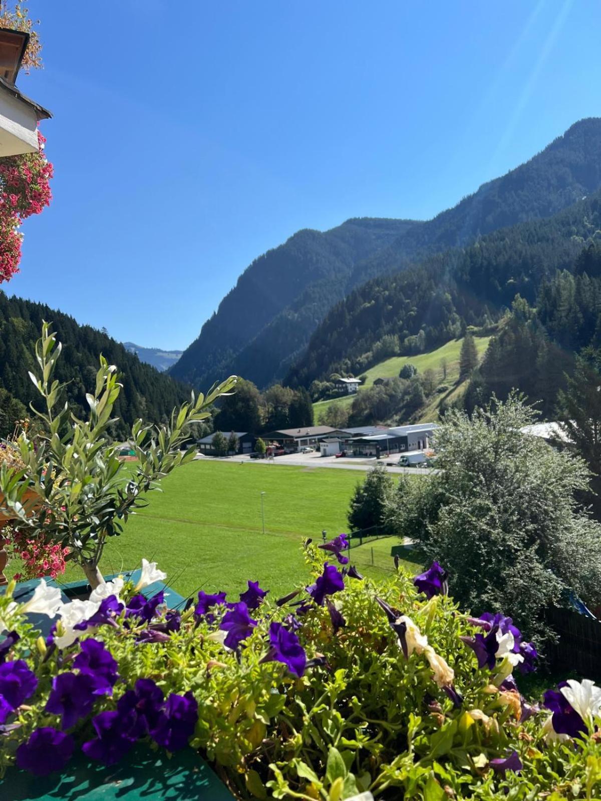Landhaus Servus Viehhofen Exteriör bild