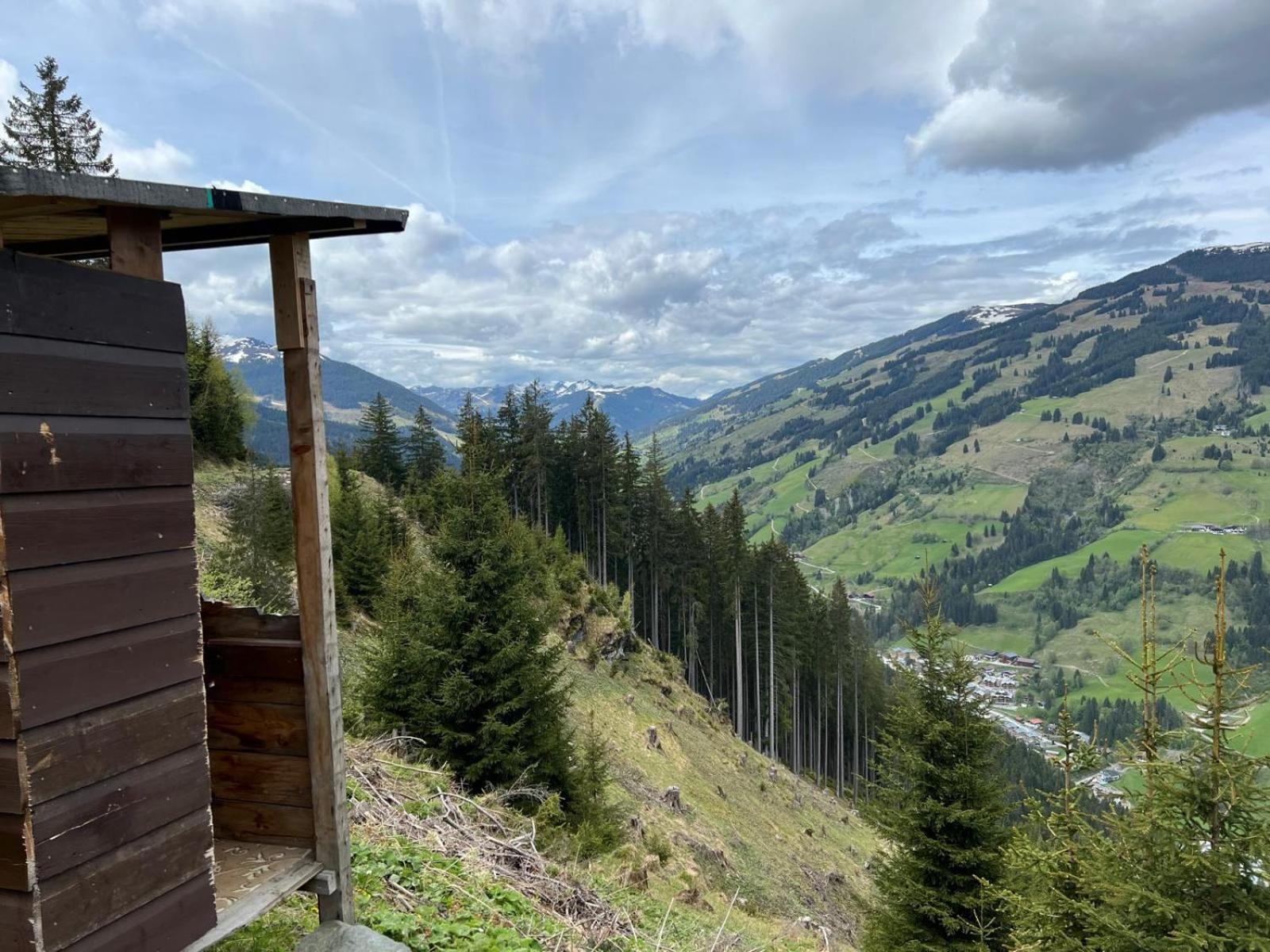 Landhaus Servus Viehhofen Exteriör bild