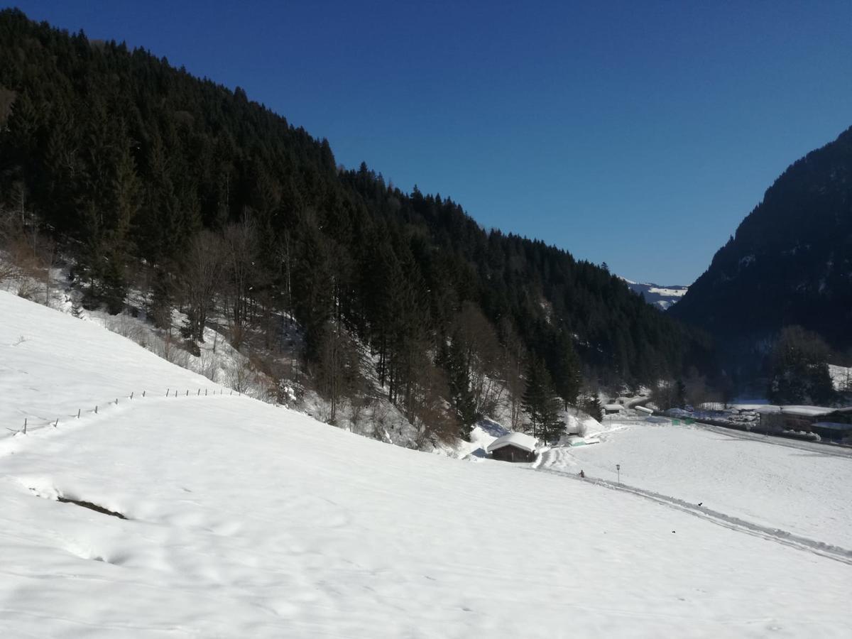 Landhaus Servus Viehhofen Exteriör bild